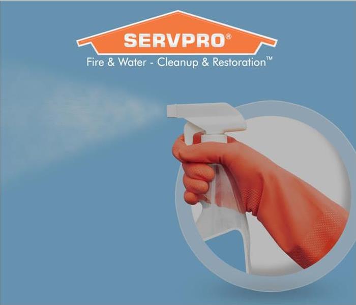 Clean with SERVPRO Orange