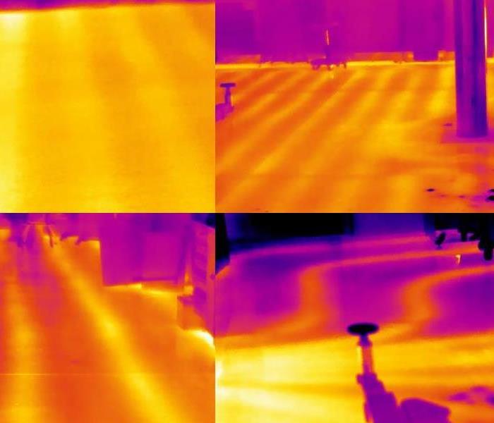 Water Loss Shown Through Thermal Imaging