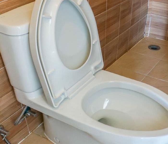 Learn What to do Before It is Too Late! - Toilet with lid open.